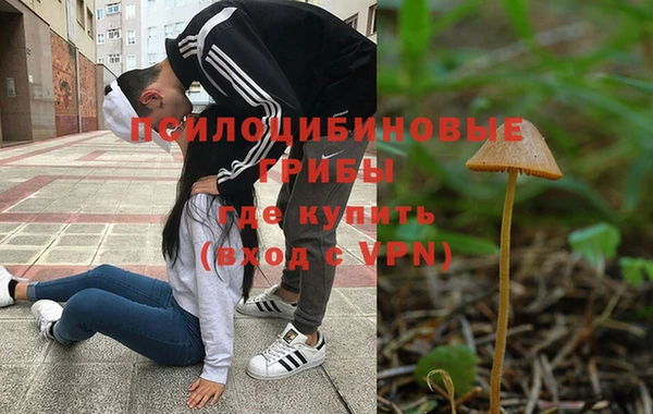гидра Богородск