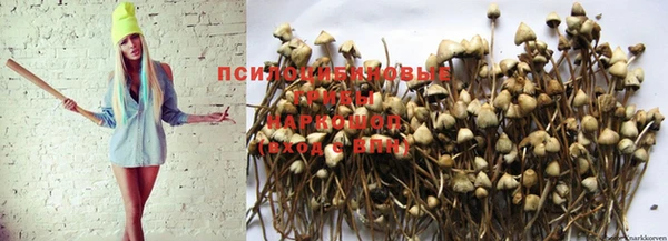 прущая мука Богородицк