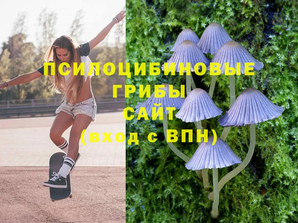 крисы Богданович