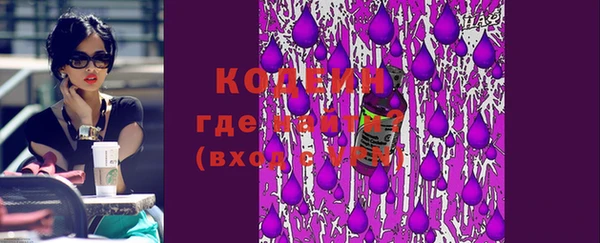 гидра Богородск