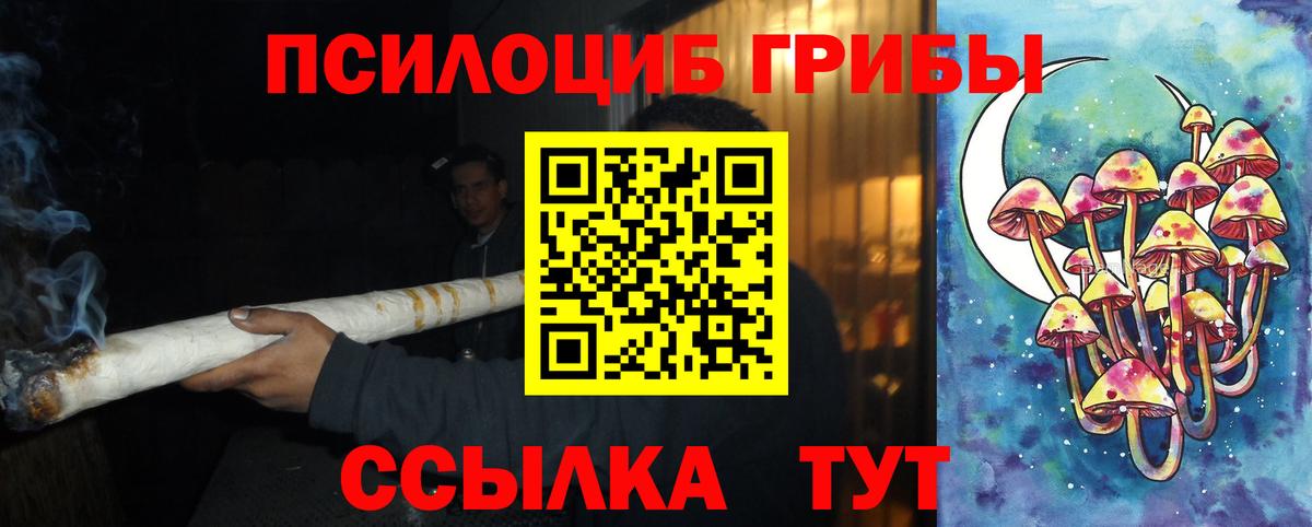 Галлюциногенные грибы мицелий  Вход с VPN  Кузнецк 