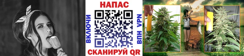 Марихуана марихуана  Кузнецк 